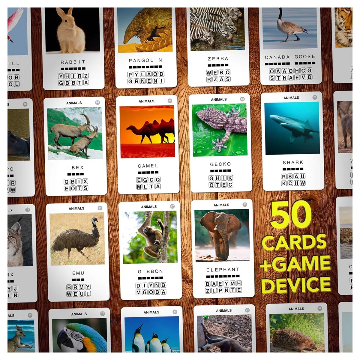 100 Pics Animals Quiz Game