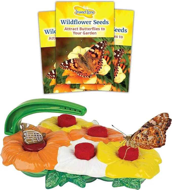 Butterfly Feeder