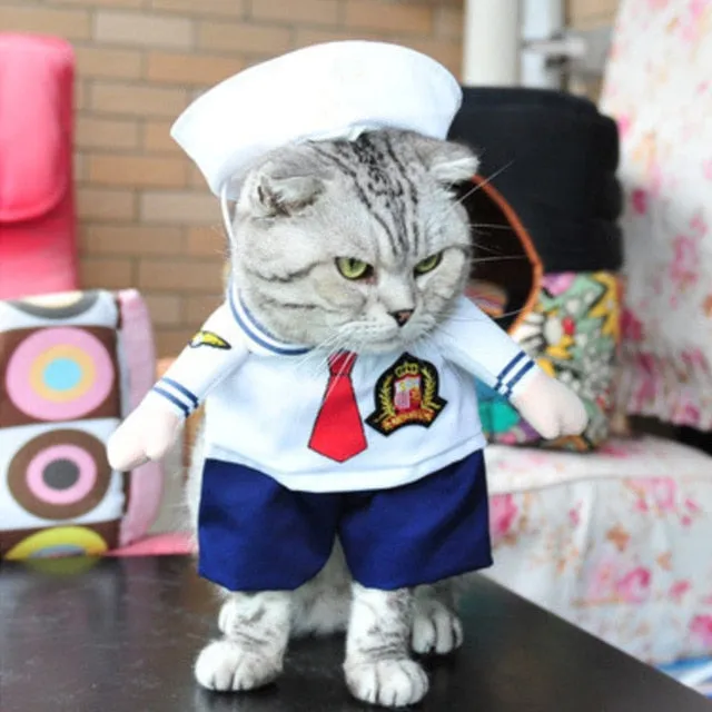 Cat Clothes Funny Halloween Dress Up Party
