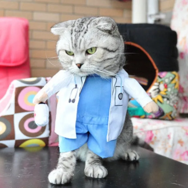 Cat Clothes Funny Halloween Dress Up Party