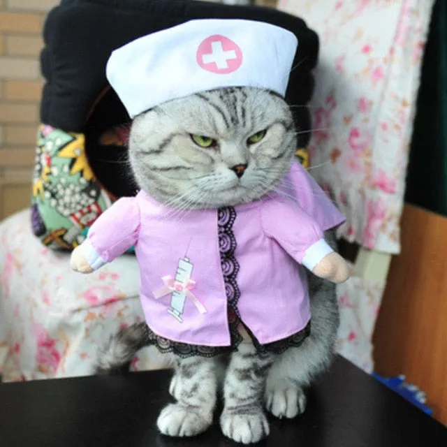 Cat Clothes Funny Halloween Dress Up Party