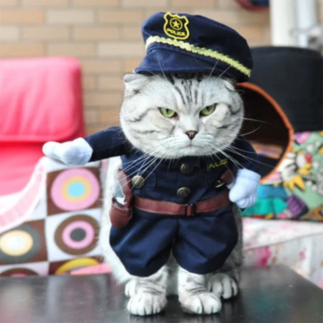 Cat Clothes Funny Halloween Dress Up Party