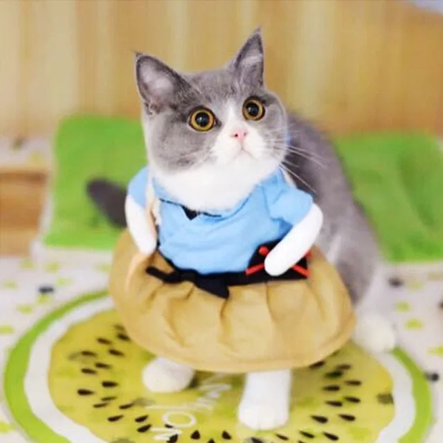 Cat Clothes Funny Halloween Dress Up Party