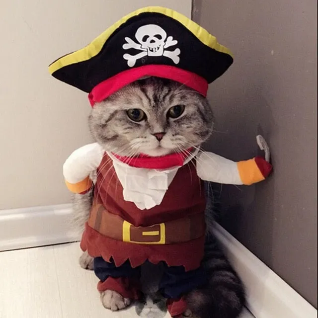 Cat Clothes Funny Halloween Dress Up Party