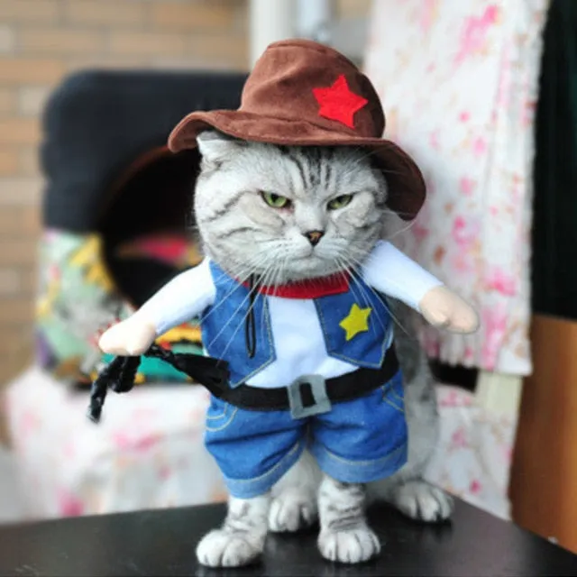 Cat Clothes Funny Halloween Dress Up Party