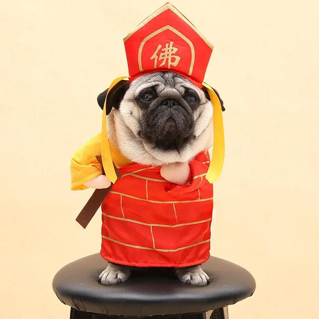 Cat Clothes Funny Halloween Dress Up Party