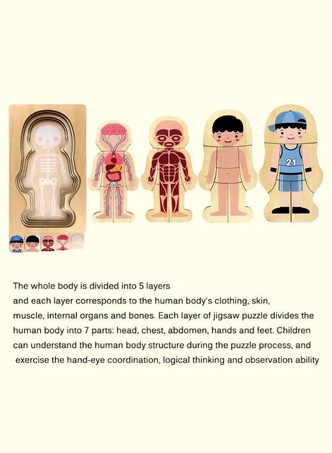 Children Educational Wooden Human Body Structure Wooden Puzzles for Kids (Girl)