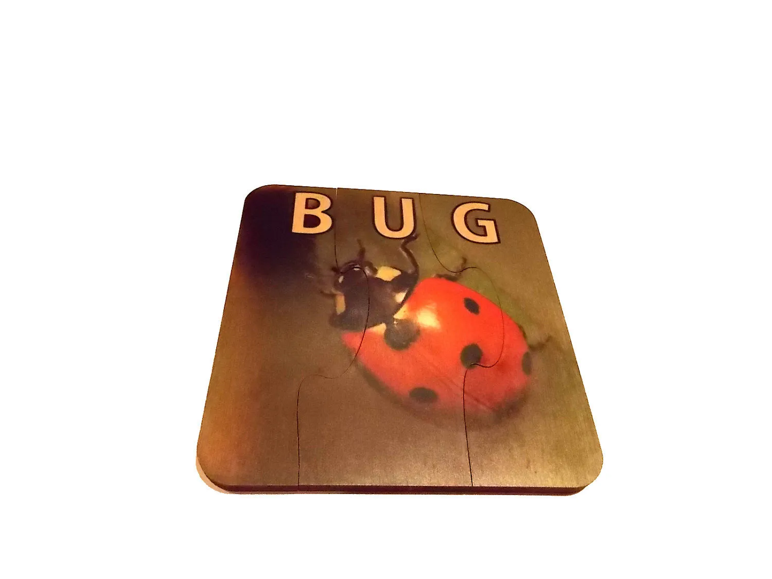Early Learning Puzzles for Toddlers