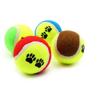Fetch 'n Play Tennis Dog Balls (Assorted Colors)