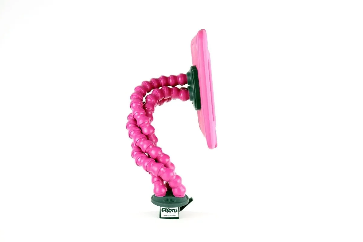 Flexzi iPad Holder With iPad Case
