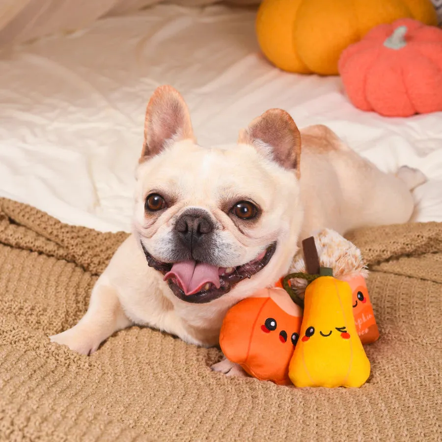 Hugsmart - Pumpkin Play