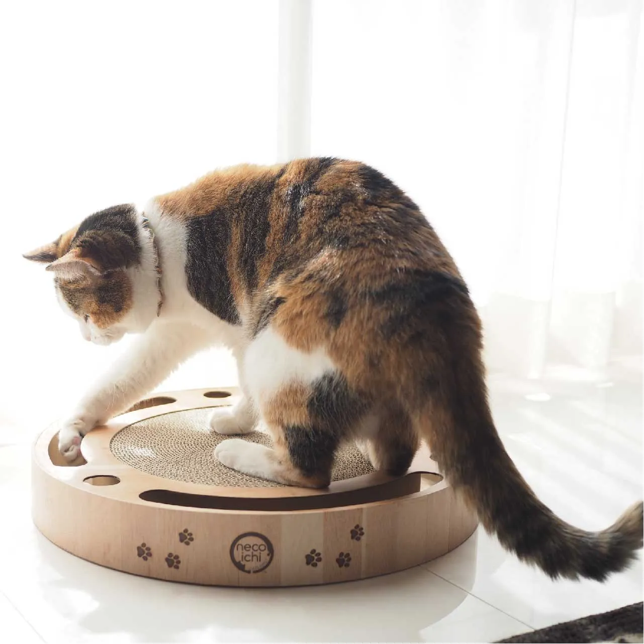 Interactive Cat Track Ball Scratcher