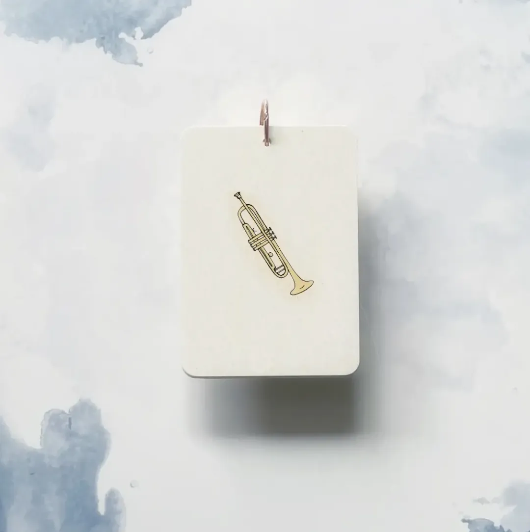 MUSICAL INSTRUMENT realistic flashcards mini