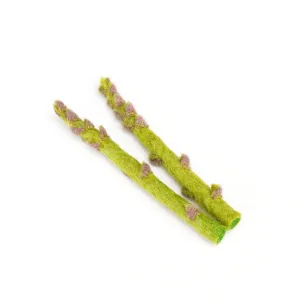 Needle-felted Play Food 2 Asparagus Spears