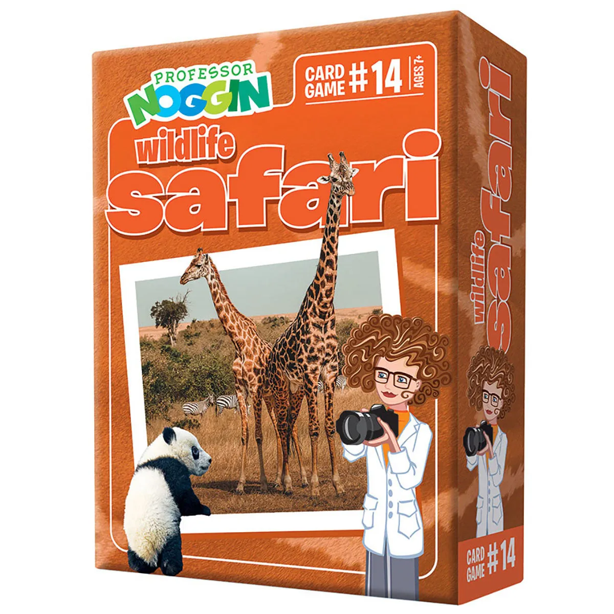 Professor Noggins Educational Cards Games