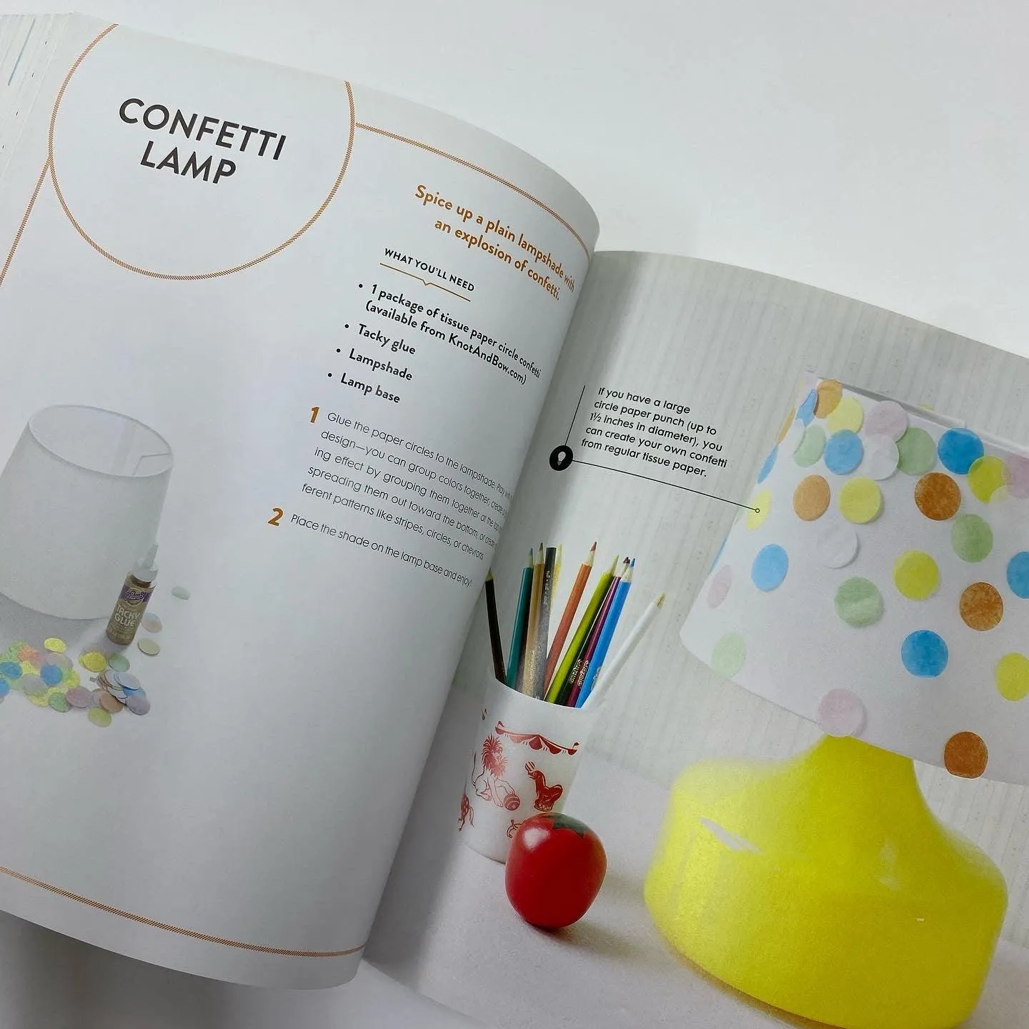 Project Kid - 100 Ingenious Crafts for Family Fun