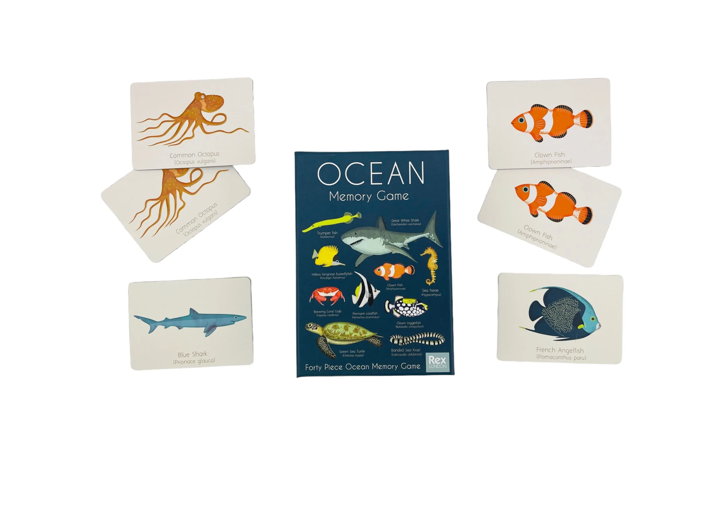 Rex London Memory Game