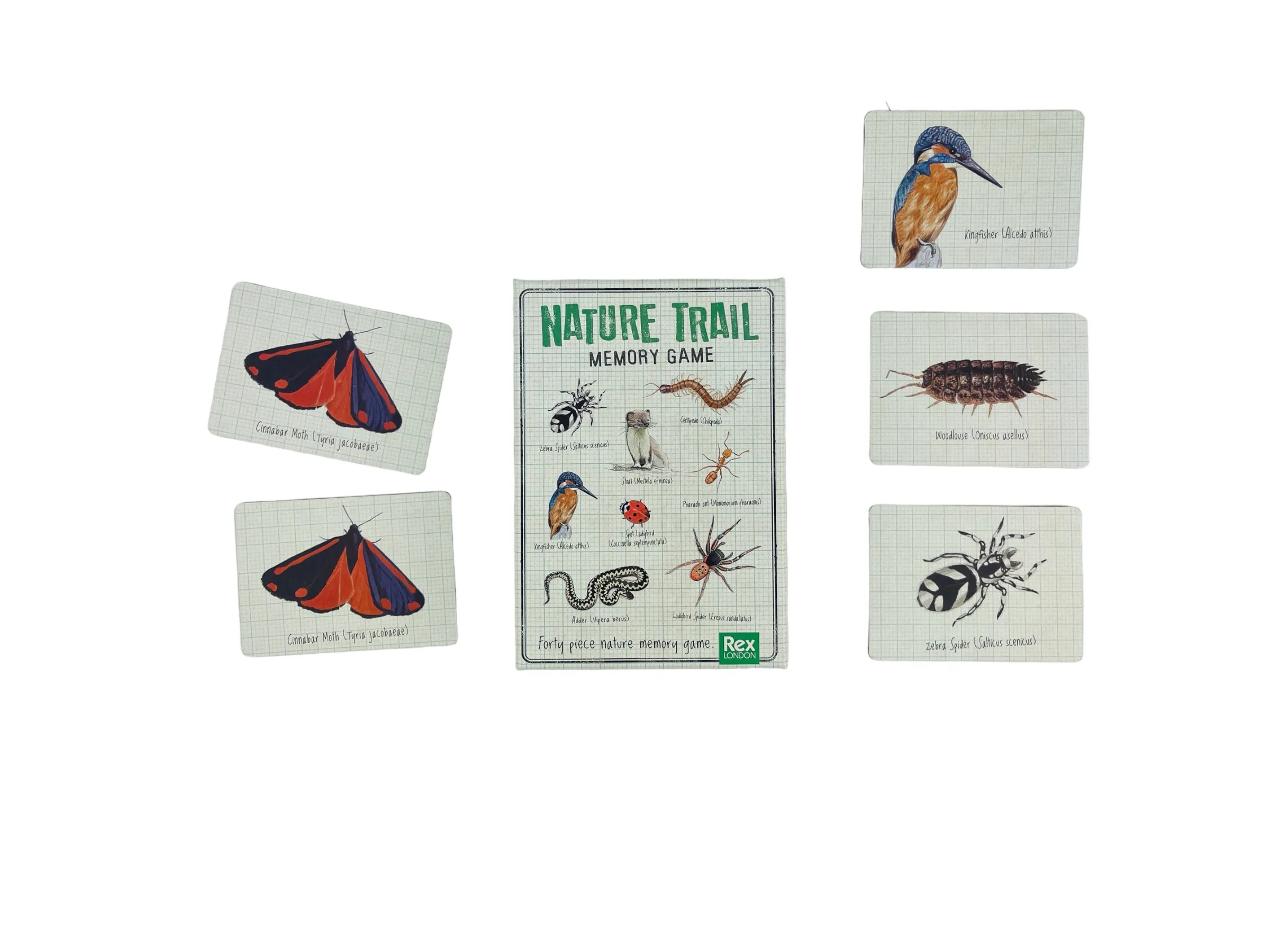 Rex London Memory Game