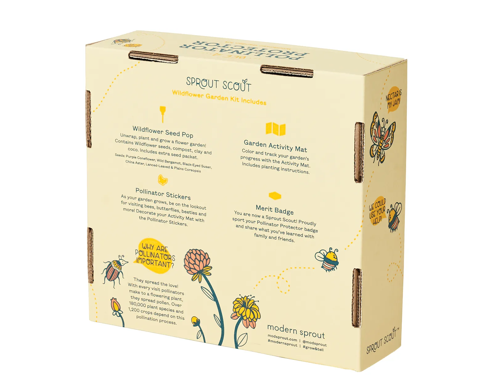 Wildflower Seed Pop Activity Kit