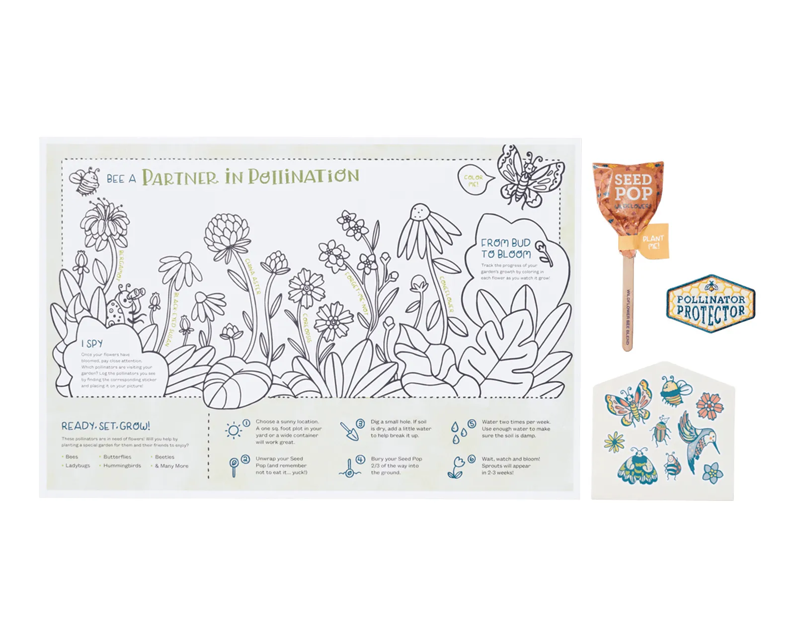 Wildflower Seed Pop Activity Kit